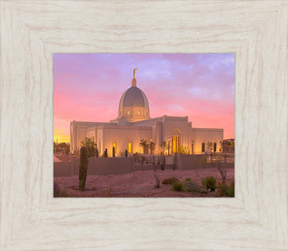 Tucson Desert Sunset