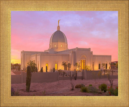 Tucson Desert Sunset
