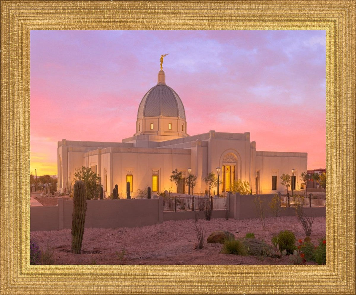 Tucson Desert Sunset