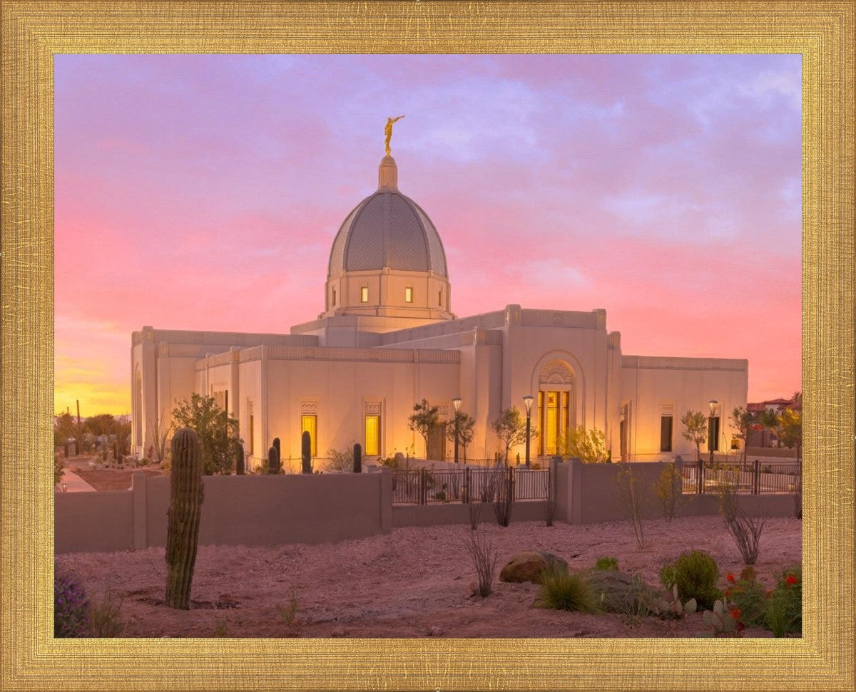 Tucson Desert Sunset