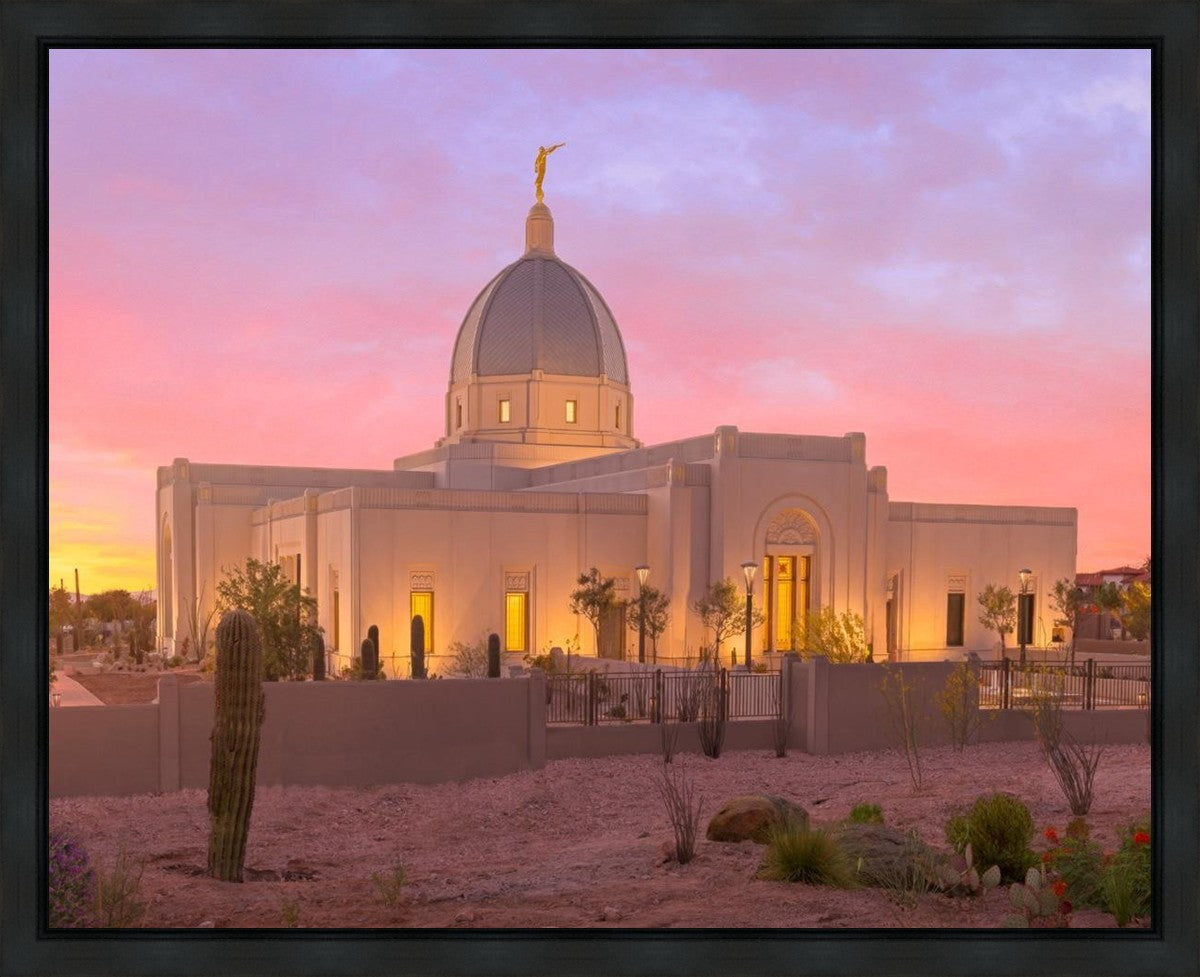 Tucson Desert Sunset
