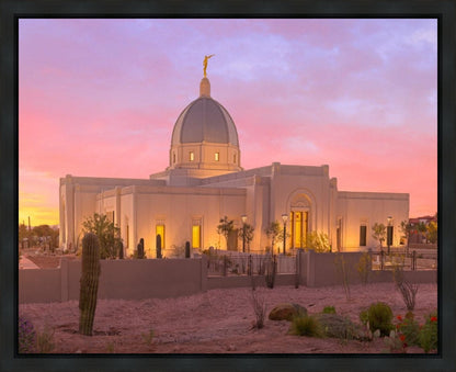 Tucson Desert Sunset