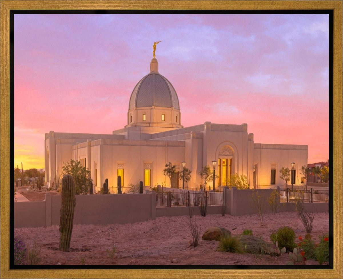 Tucson Desert Sunset