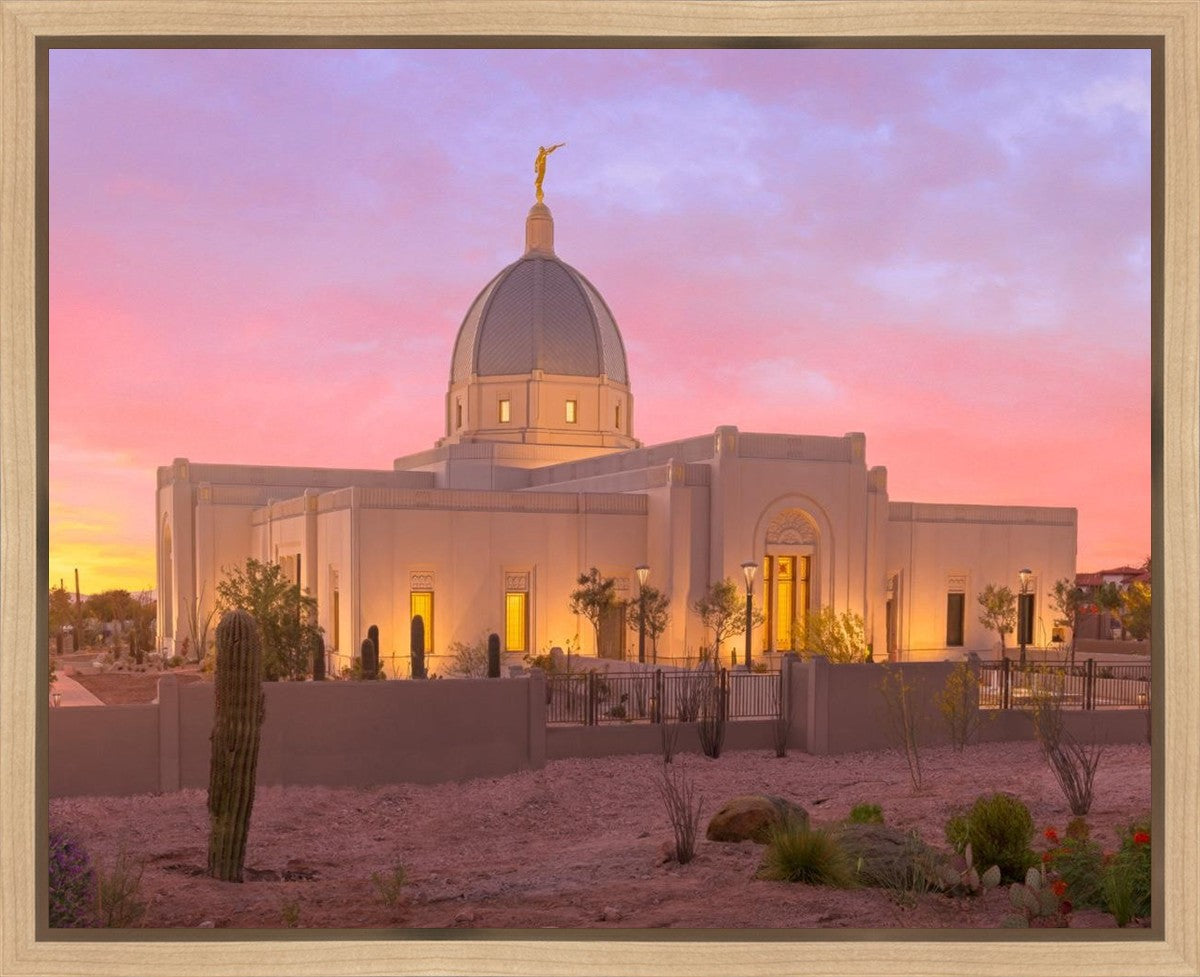 Tucson Desert Sunset