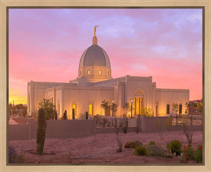 Tucson Desert Sunset