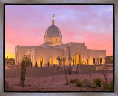 Tucson Desert Sunset