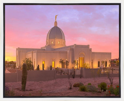 Tucson Desert Sunset