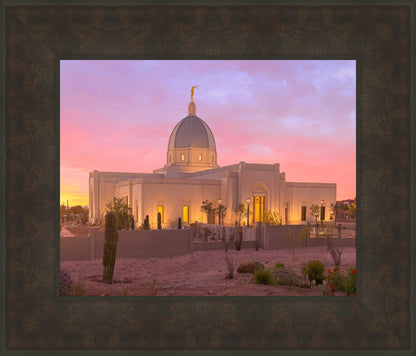 Tucson Desert Sunset
