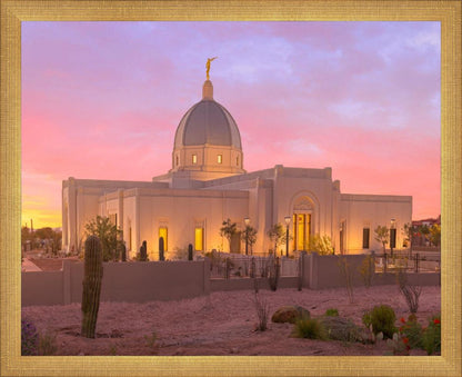 Tucson Desert Sunset