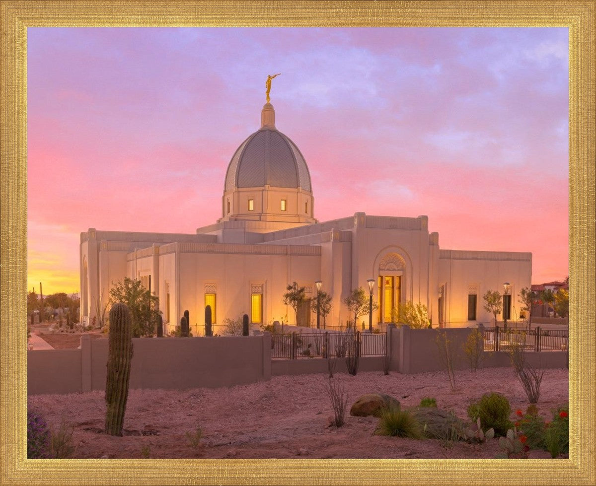 Tucson Desert Sunset