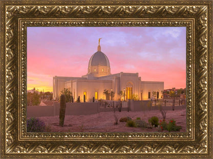 Tucson Desert Sunset