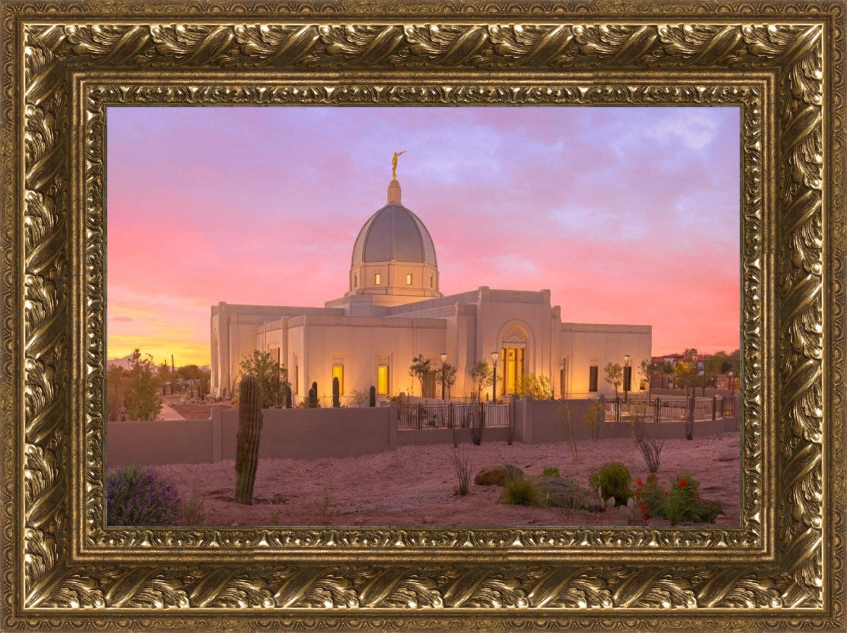 Tucson Desert Sunset