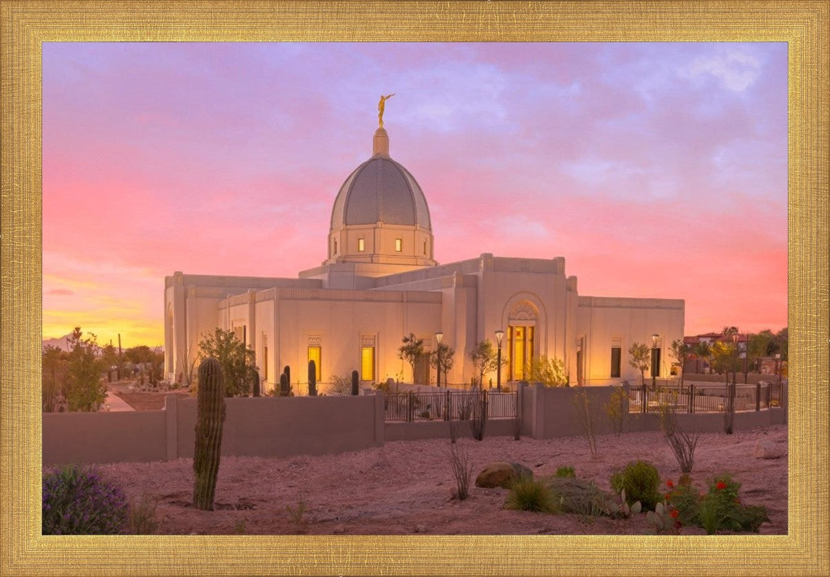 Tucson Desert Sunset