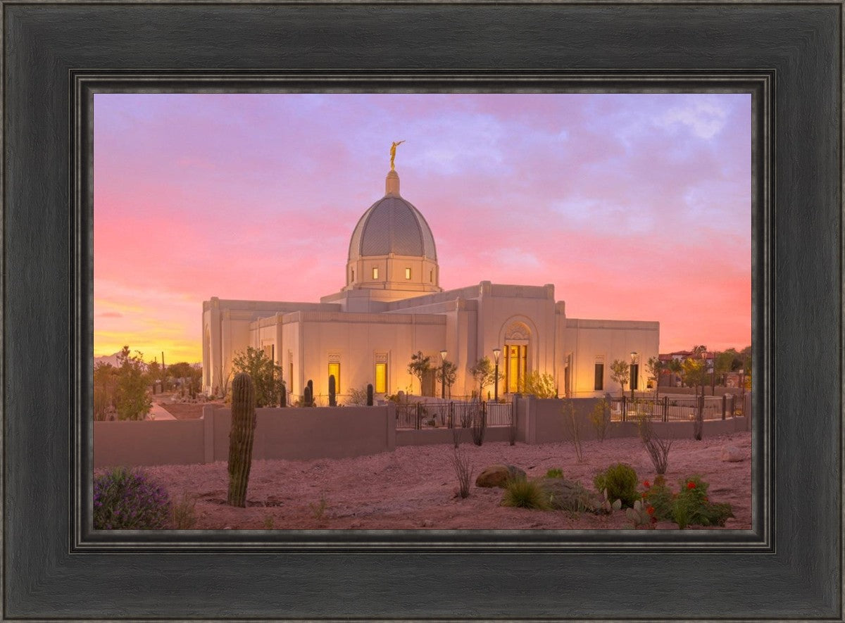 Tucson Desert Sunset