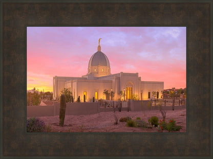 Tucson Desert Sunset