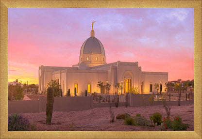 Tucson Desert Sunset