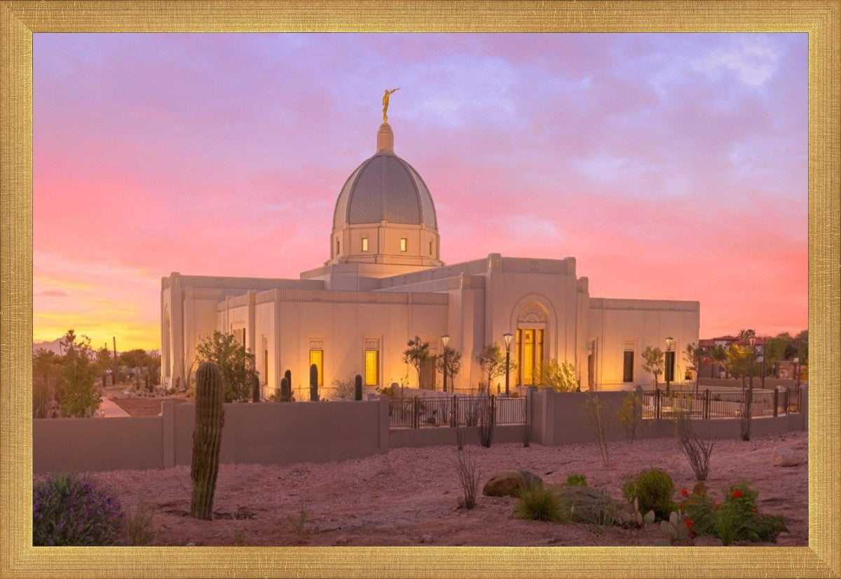 Tucson Desert Sunset