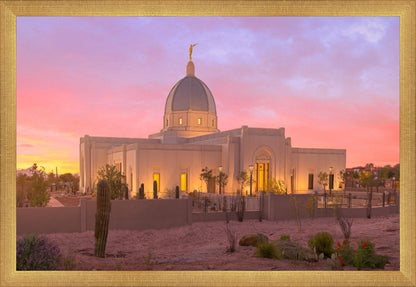Tucson Desert Sunset