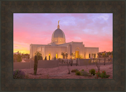 Tucson Desert Sunset