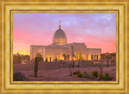 Tucson Desert Sunset