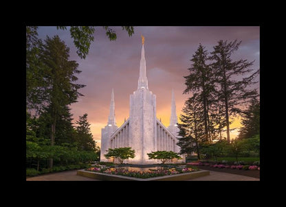 Peace be Still Portland