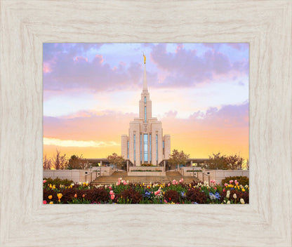 Oquirrh Mountain Peaceful Spring