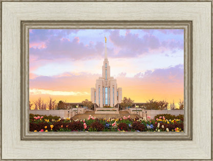 Oquirrh Mountain Peaceful Spring