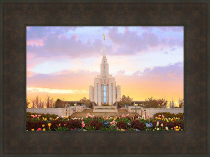 Oquirrh Mountain Peaceful Spring