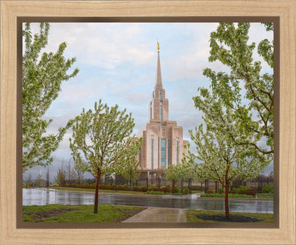 Oquirrh Mountain Rainfall Gallery Wrap