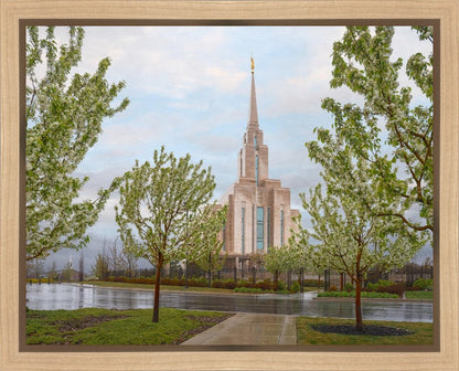 Oquirrh Mountain Rainfall Gallery Wrap