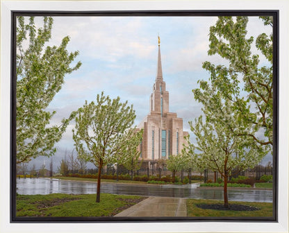 Oquirrh Mountain Rainfall Gallery Wrap