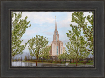 Oquirrh Mountain Rainfall