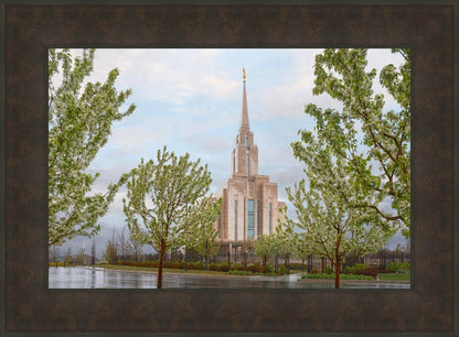 Oquirrh Mountain Rainfall