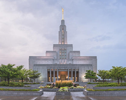 Draper Cool Summer Gallery Wrap