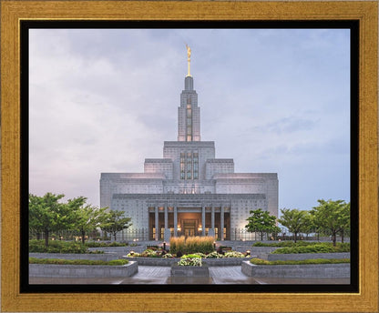 Draper Cool Summer Gallery Wrap