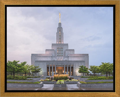 Draper Cool Summer Gallery Wrap