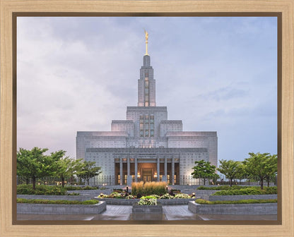 Draper Cool Summer Gallery Wrap