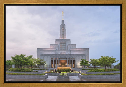 Draper Cool Summer Gallery Wrap