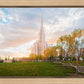 Oquirrh Mountain Hillside