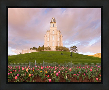 Manti Mount of Zion Gallery Wrap