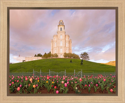 Manti Mount of Zion Gallery Wrap