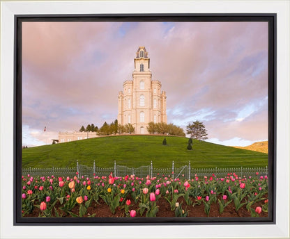 Manti Mount of Zion Gallery Wrap