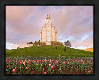 Manti Mount of Zion Gallery Wrap