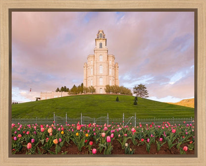 Manti Mount of Zion Gallery Wrap