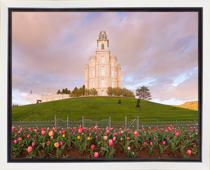 Manti Mount of Zion Gallery Wrap