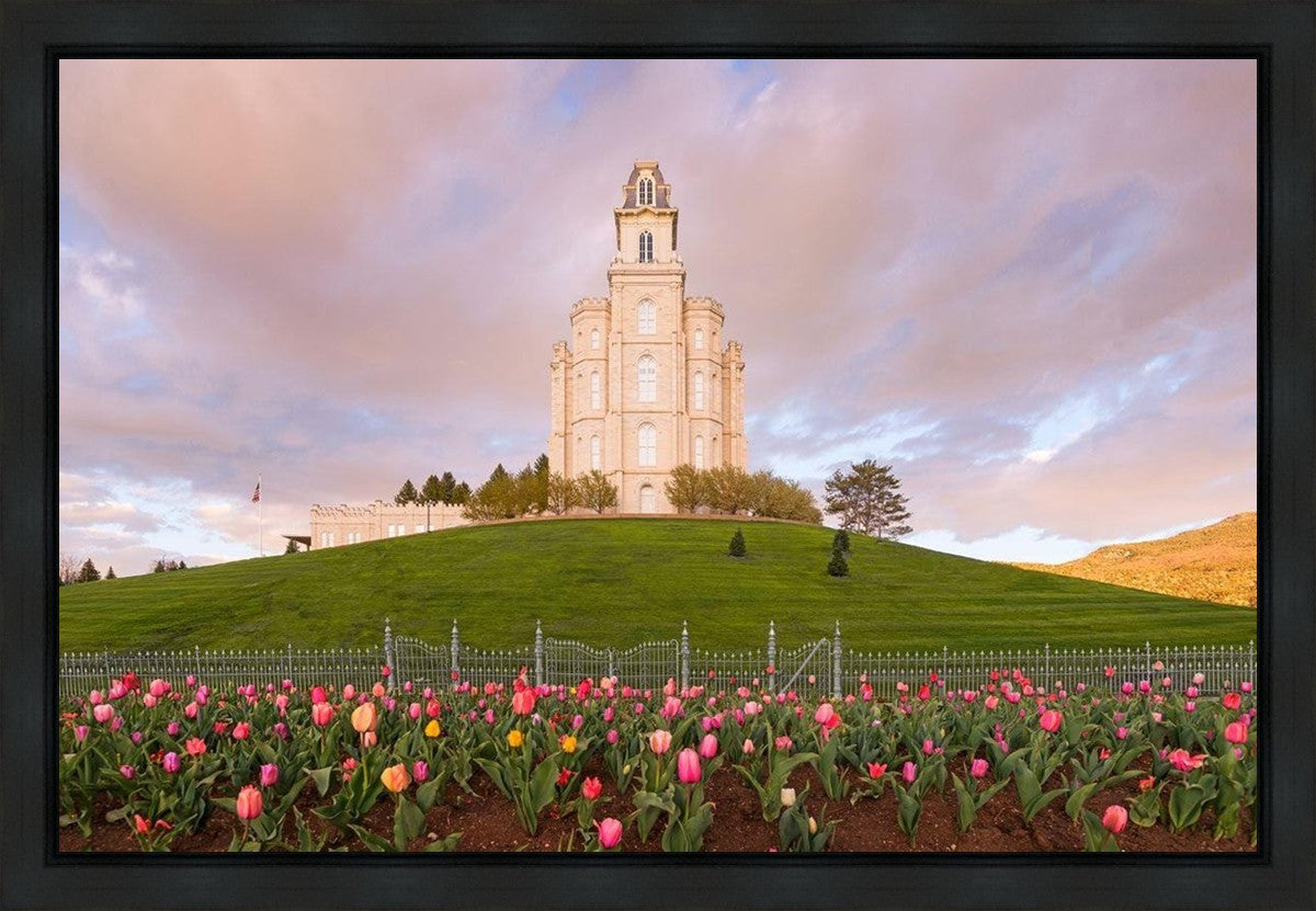 Manti Mount of Zion Gallery Wrap