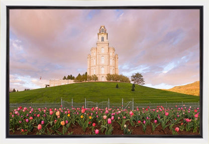 Manti Mount of Zion Gallery Wrap