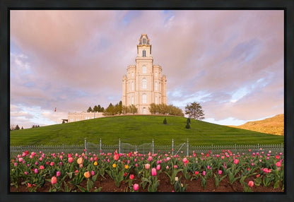 Manti Mount of Zion Gallery Wrap