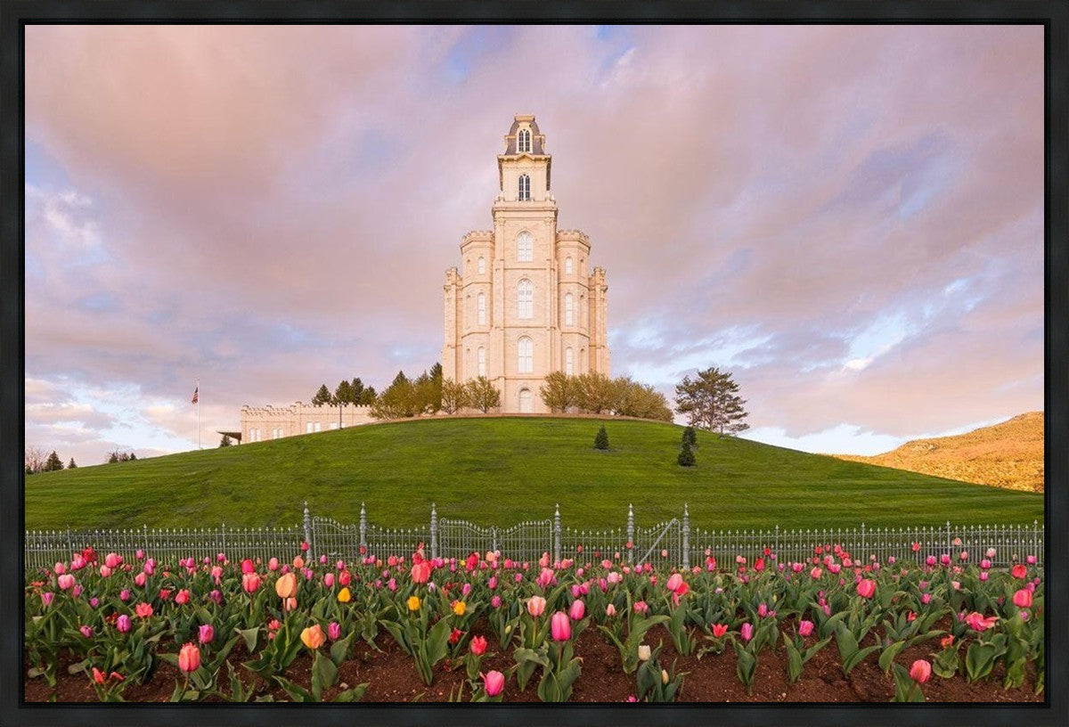 Manti Mount of Zion Gallery Wrap