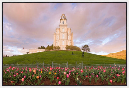 Manti Mount of Zion Gallery Wrap